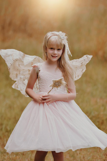 Twinkle Fairy - Wings, Headband & Wand